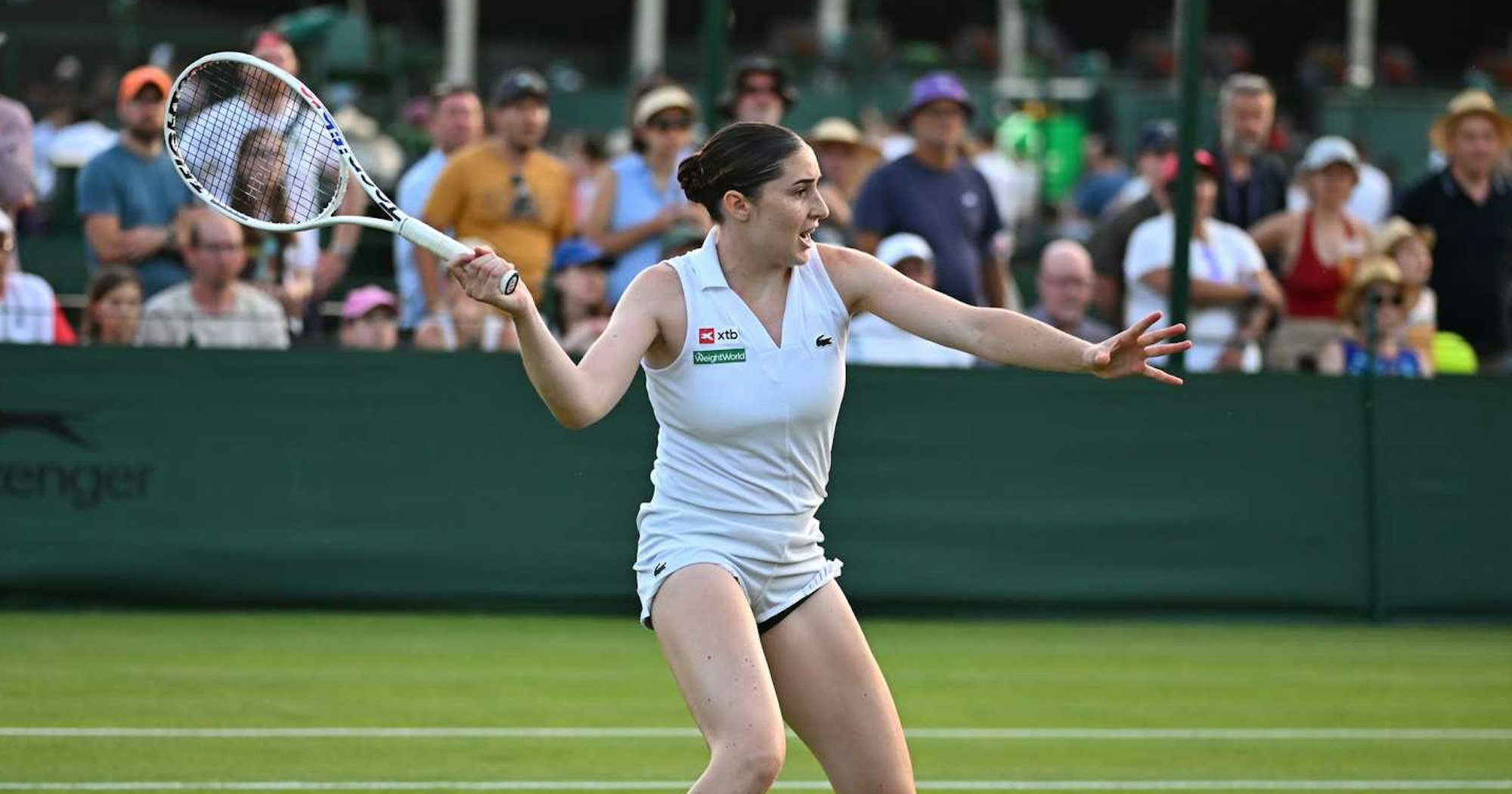Court de Wimbledon sur gazon avant l'édition 2026
