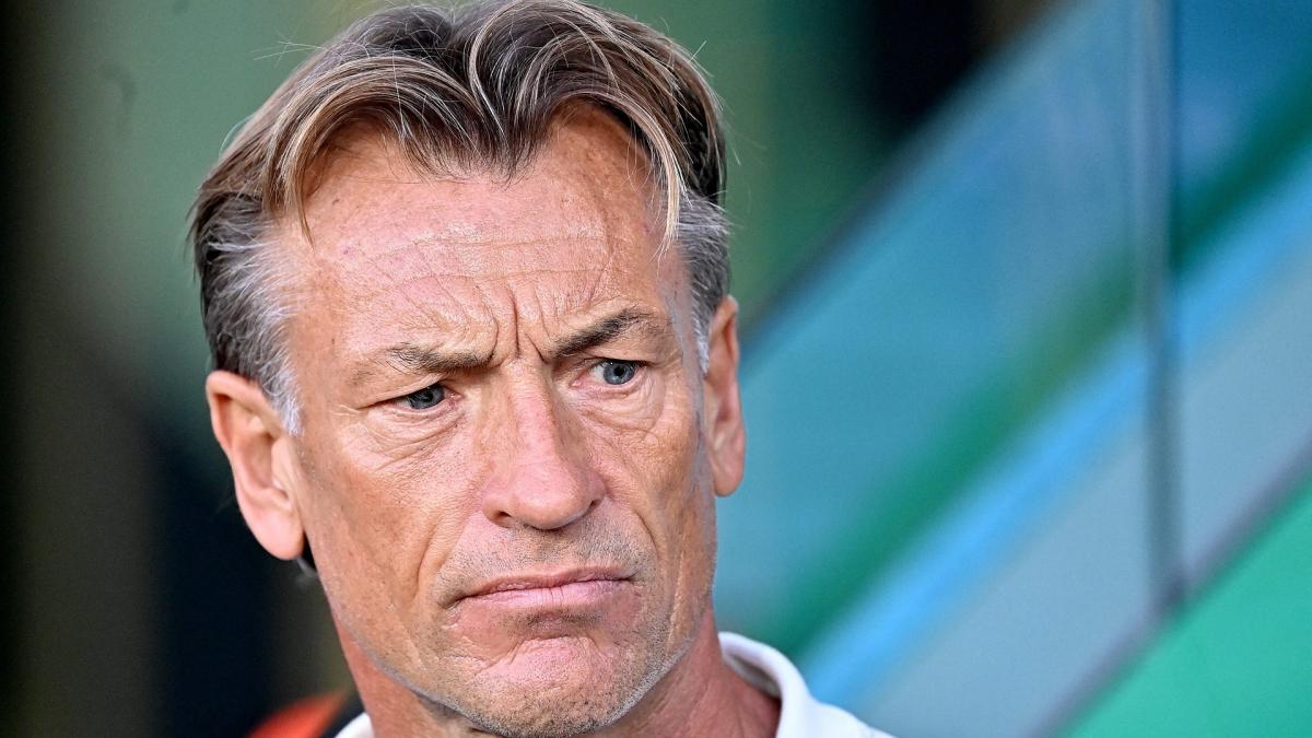 Hervé Renard, nouveau sélectionneur de la Côte d'Ivoire